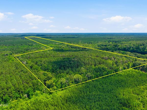 Blackwell Drive, Forest, MS 39074