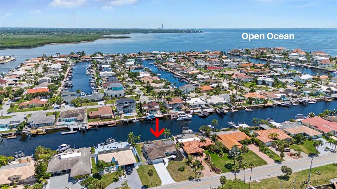 3340 Floramar Terrace, New Port Richey, FL 34652 Photo
