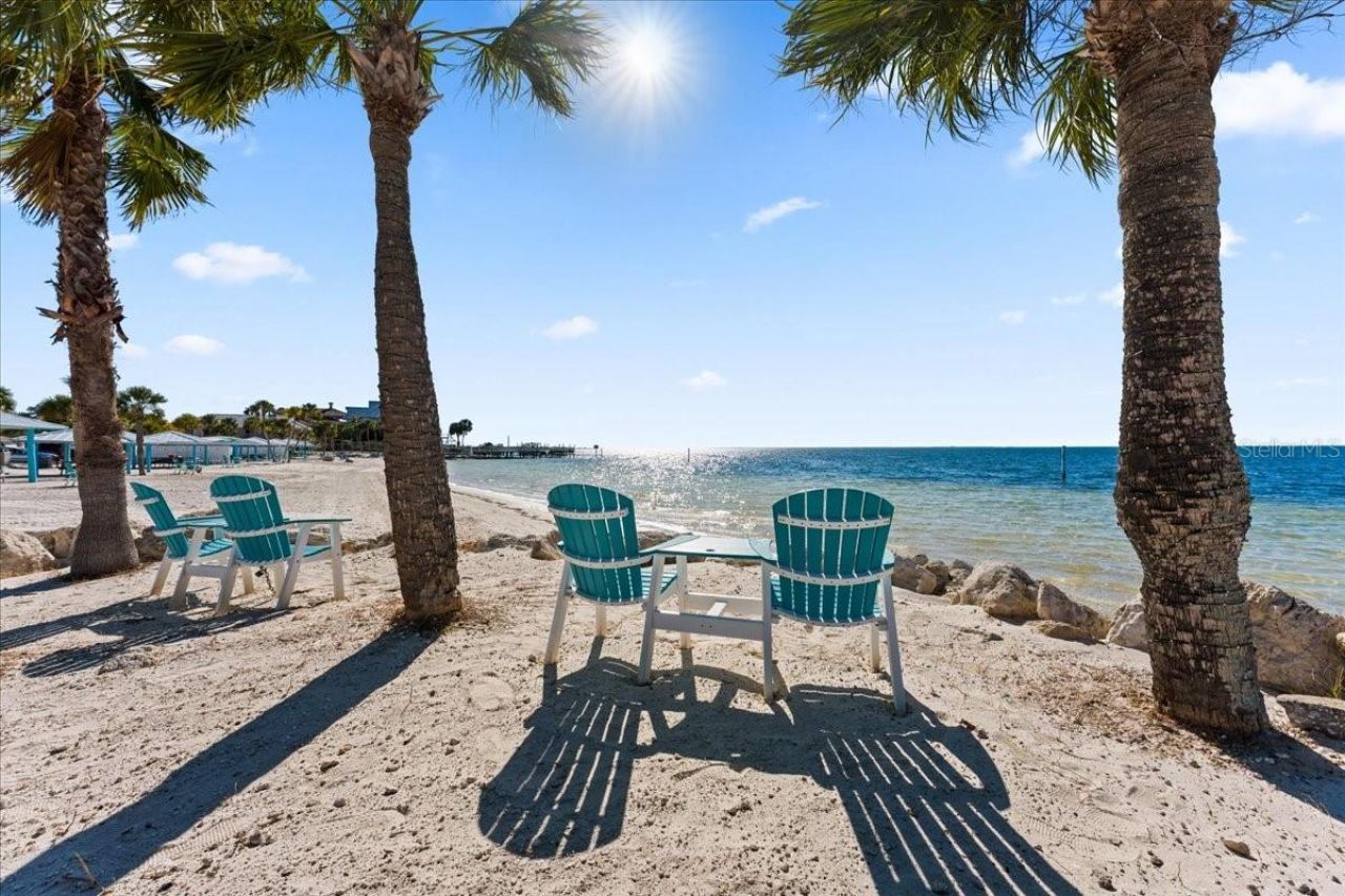 3340 Floramar Terrace, New Port Richey, FL 34652 Photo