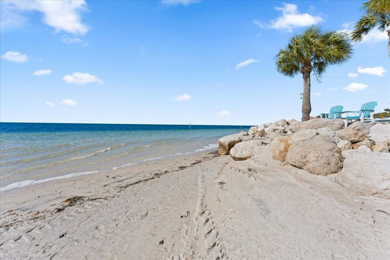 3340 Floramar Terrace, New Port Richey, FL 34652 Photo