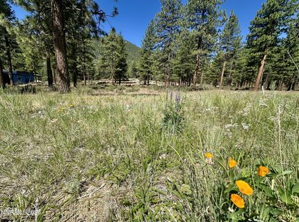 3355 Golf Club Drive, Lot #97, Carson City, NV 89705 Photo