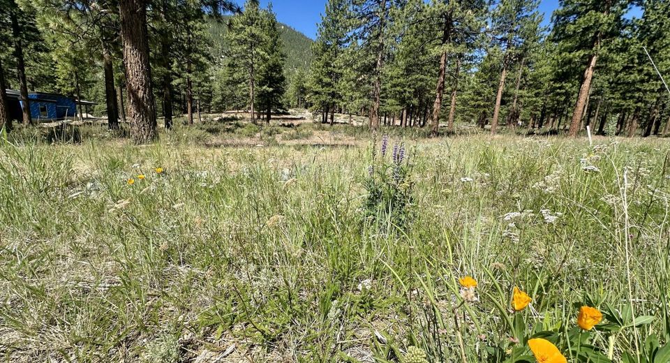 3355 Golf Club Drive, Lot #97, Carson City, NV 89705 Photo