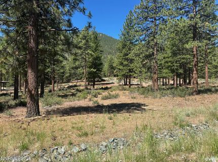 3355 Golf Club Drive, Lot #97, Carson City, NV 89705 Photo