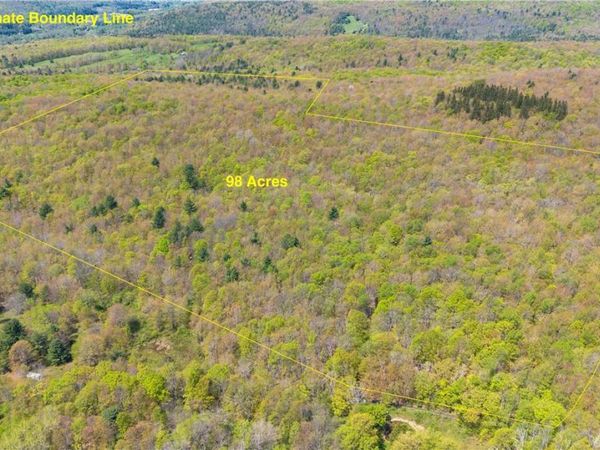 Sanly Road , Franklin, NY 13839