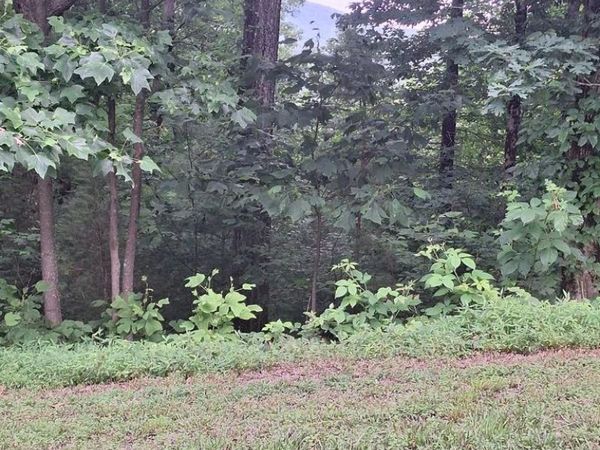 274 Andes Ridge, Morganton, GA 30560