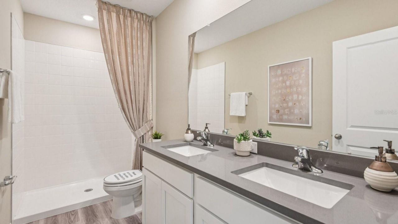 32401 Welling Blade Loop , Wesley Chapel, FL 33545 Photo