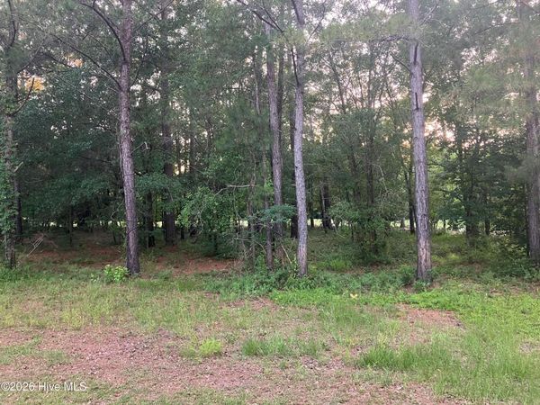 112 Riverstone Run Drive , Wallace, NC 28466
