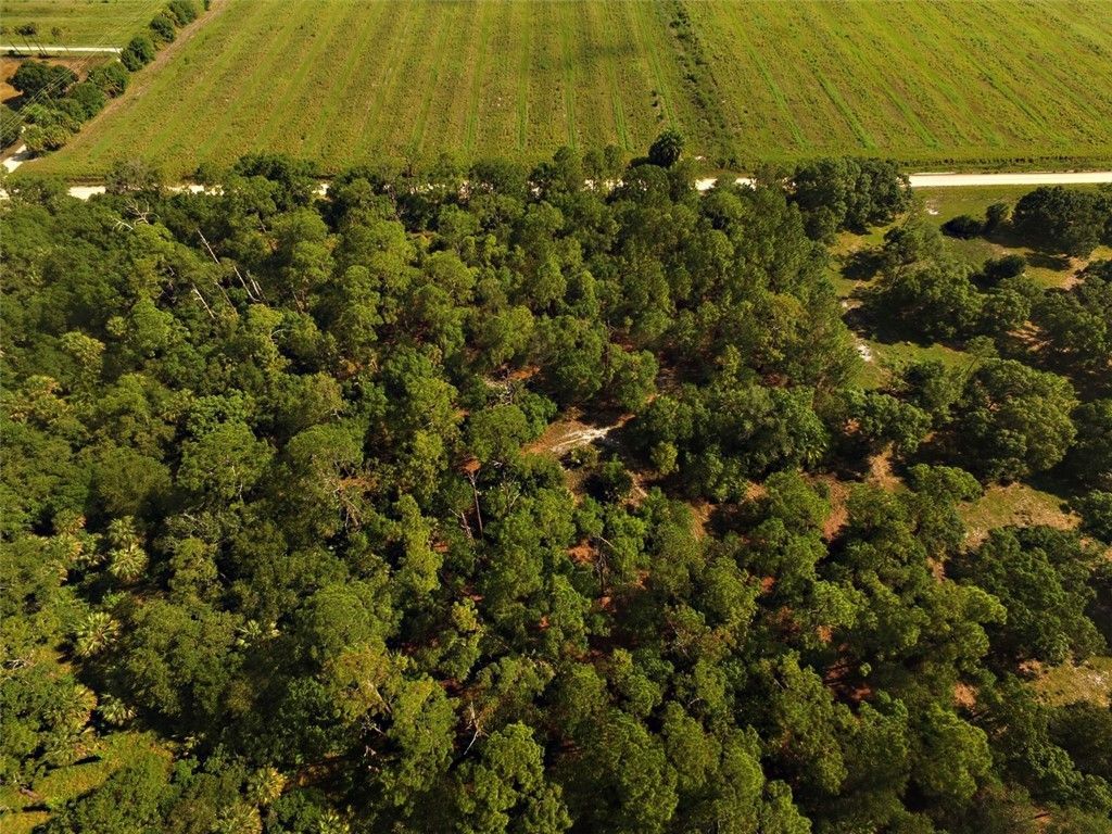 9810 134th Court, Fellsmere, FL 32948 Photo
