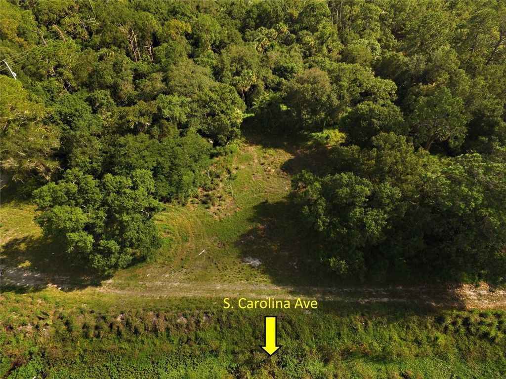 9810 134th Court, Fellsmere, FL 32948 Photo