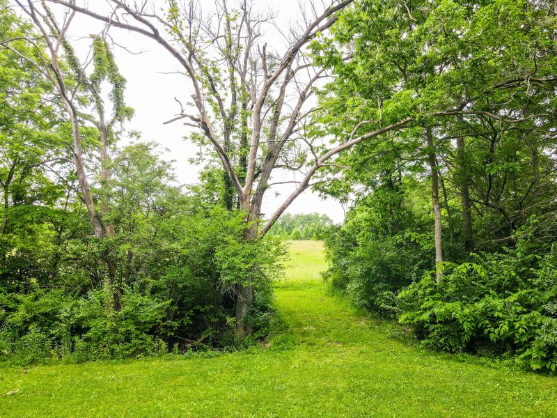 825 Free Road, New Carlisle, OH 45344 Photo 9