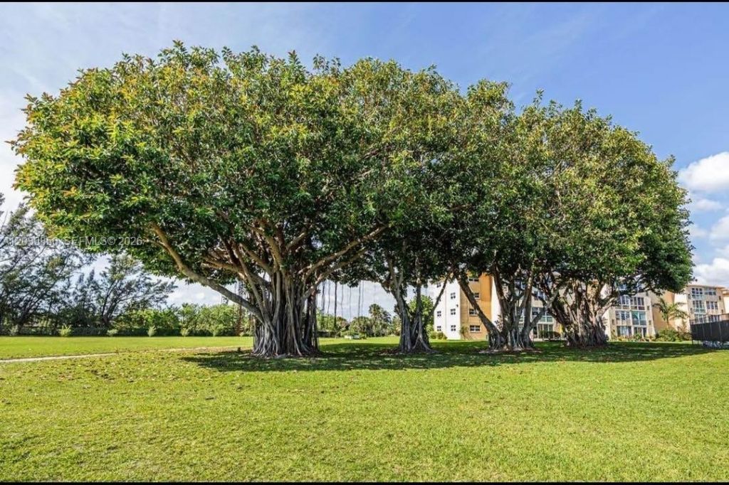 2615 NE 3rd Ct, Unit 4030, Boynton Beach, FL 33435 Photo