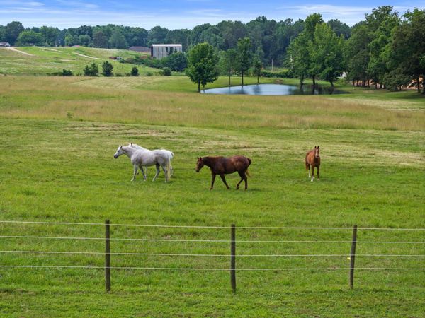 350 Co Rd 310, Florence, AL 35633