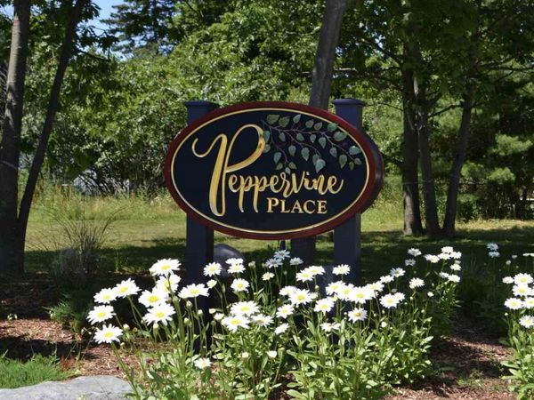 105 Peppervine Place, Unit lot 10, Charlevoix, MI 49720