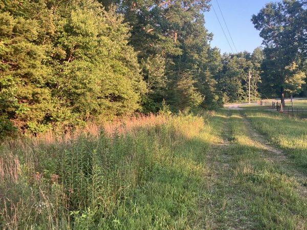 Lot 10 Holly Drive, Pikeville, TN 37367