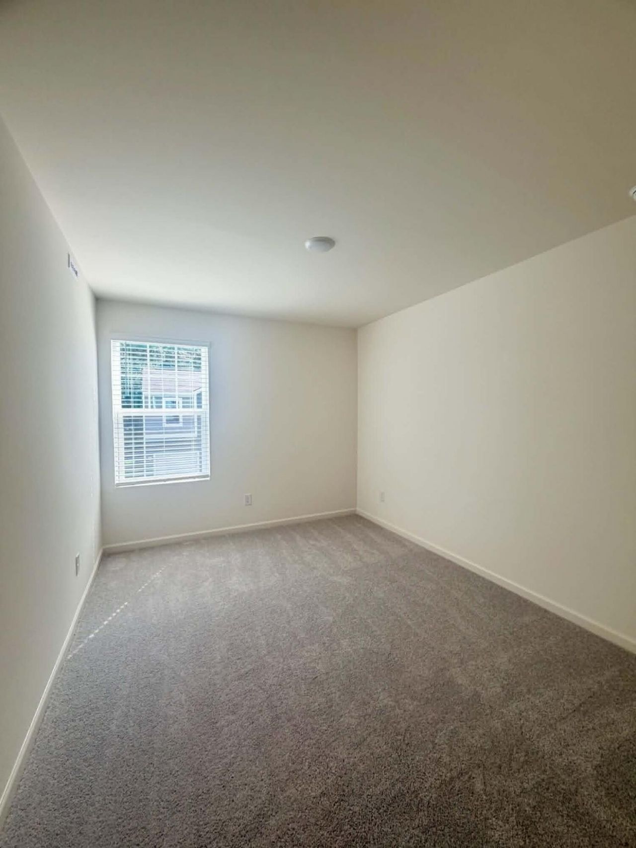8867 Salamander Road Photo 23