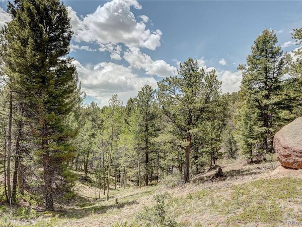 59 Robin Point , Divide, CO 80814