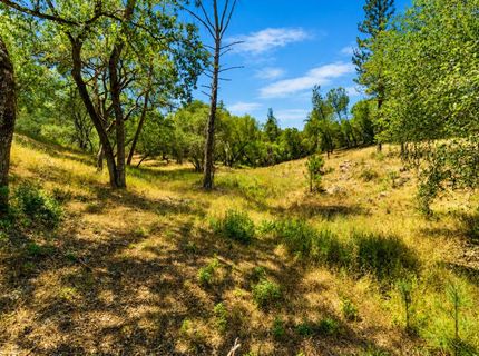 2660 Sleepy Hollow Dr, Shingle Springs, CA 95682 Photo