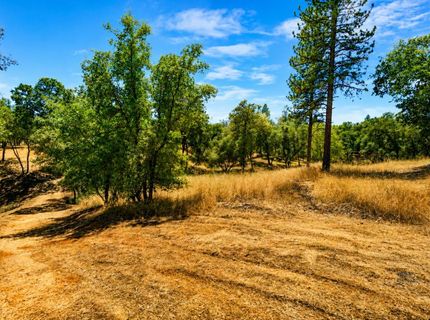 2660 Sleepy Hollow Dr, Shingle Springs, CA 95682 Photo