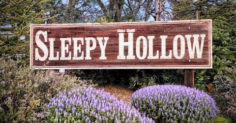 2660 Sleepy Hollow Dr, Shingle Springs, CA 95682 Photo