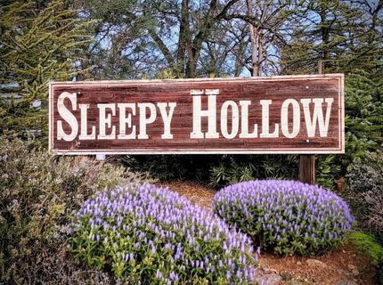 2660 Sleepy Hollow Dr, Shingle Springs, CA 95682 Photo