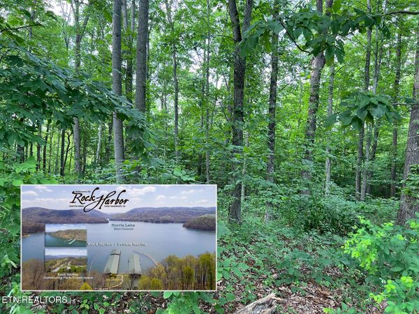 Lot 240 Tanzanite Tr, New Tazewell, TN 37825