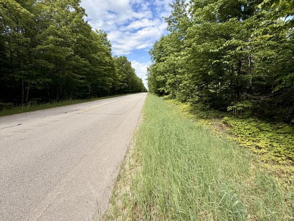 TBD ~60ac Michigan 123, Newberry, MI 49868