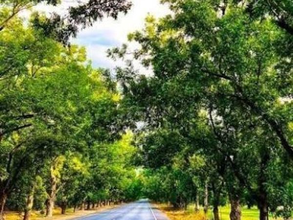 2621 Silver Leaf Lane, Anna, TX 75409