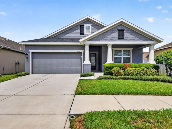 12005 RAMBLING STREAM DRIVE, RIVERVIEW, FL 33569