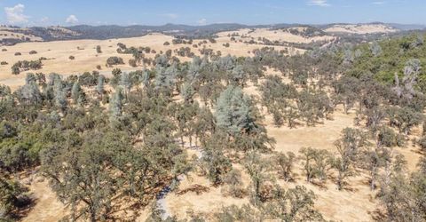 5761 Highway 4, Angels Camp, CA 95222 Photo