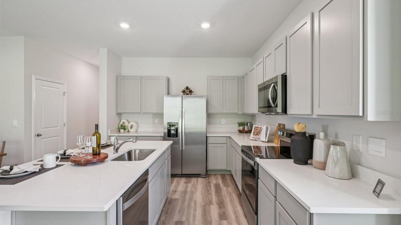 32405 Welling Blade Loop , Wesley Chapel, FL 33545 Photo