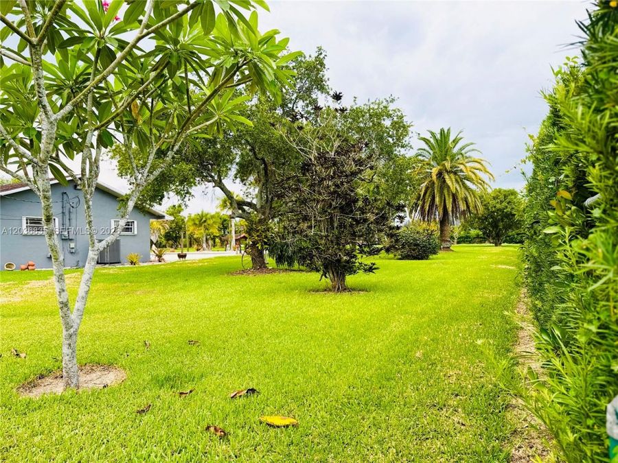 Property Image 79