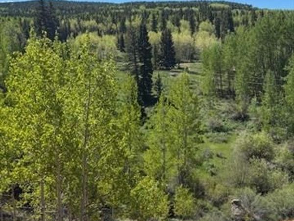 124 Yorktown Drive, Cripple Creek, CO 80813