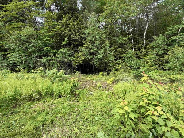Mountain View Drive, Thornton, NH 03223