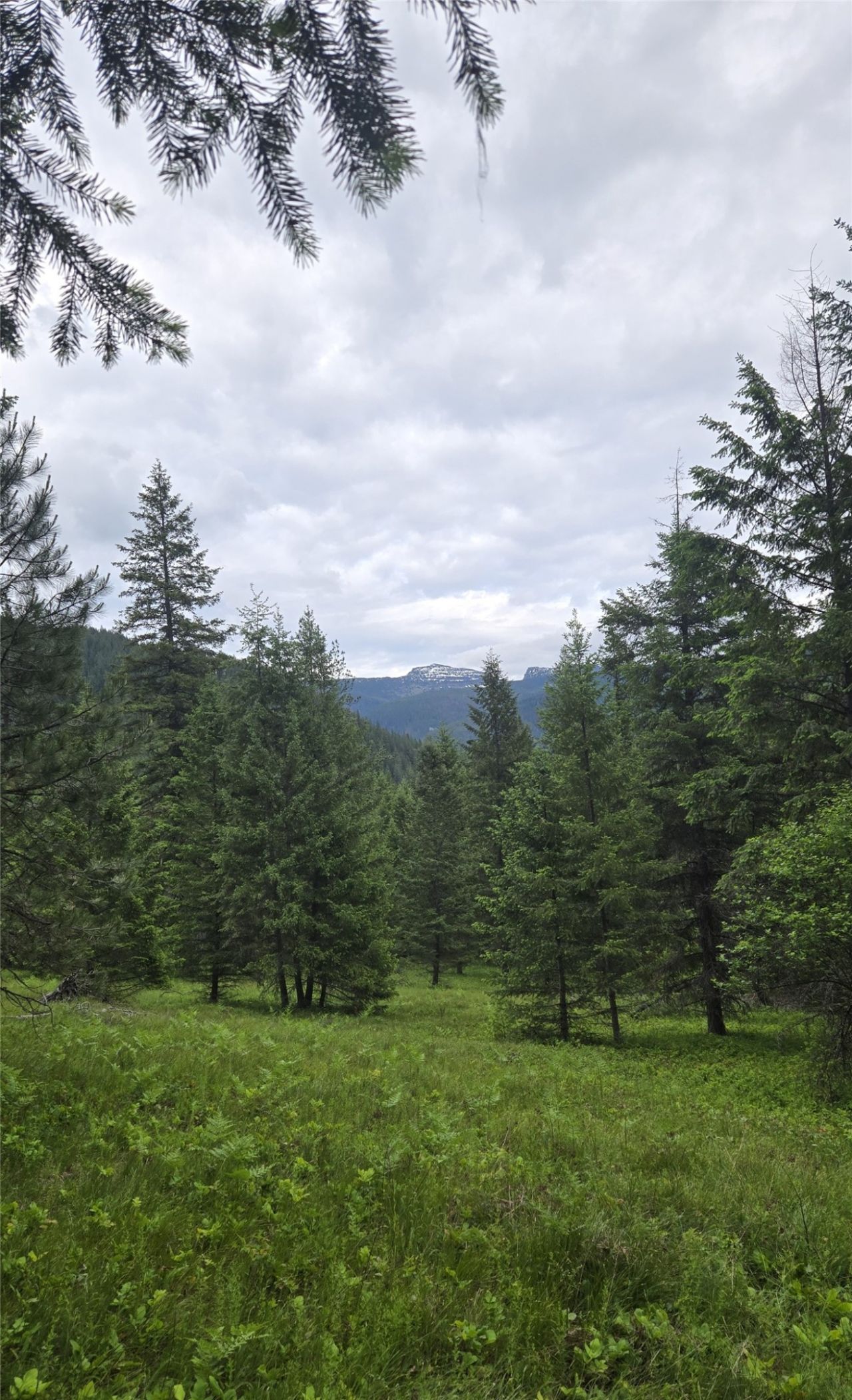 217 Bull River Road, Noxon, MT 59853 Main Photo