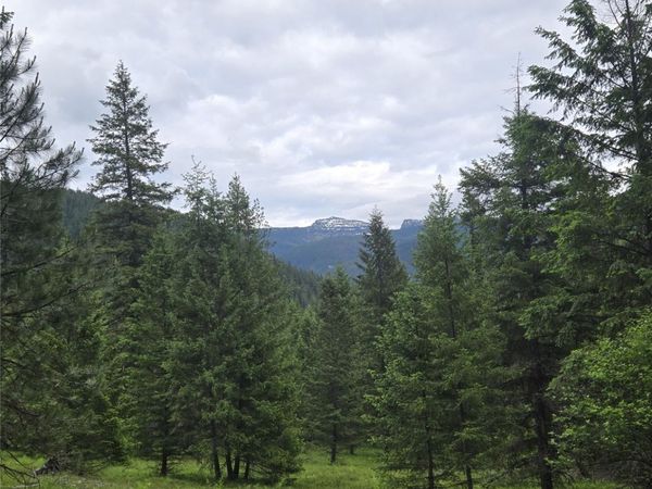 217 Bull River Road, Noxon, MT 59853