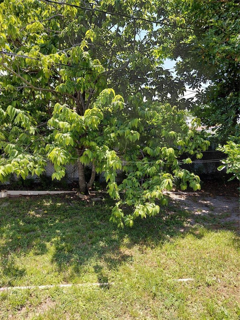 3021 NW 184th St, Miami Gardens, FL 33056 Photo