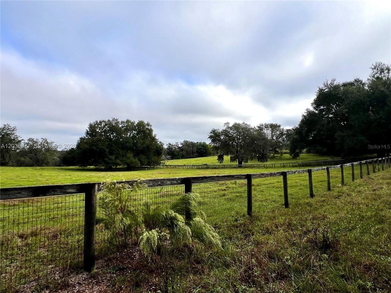Xxxxx Micro Racetrack Rd , Fruitland Park, FL 34731 Photo