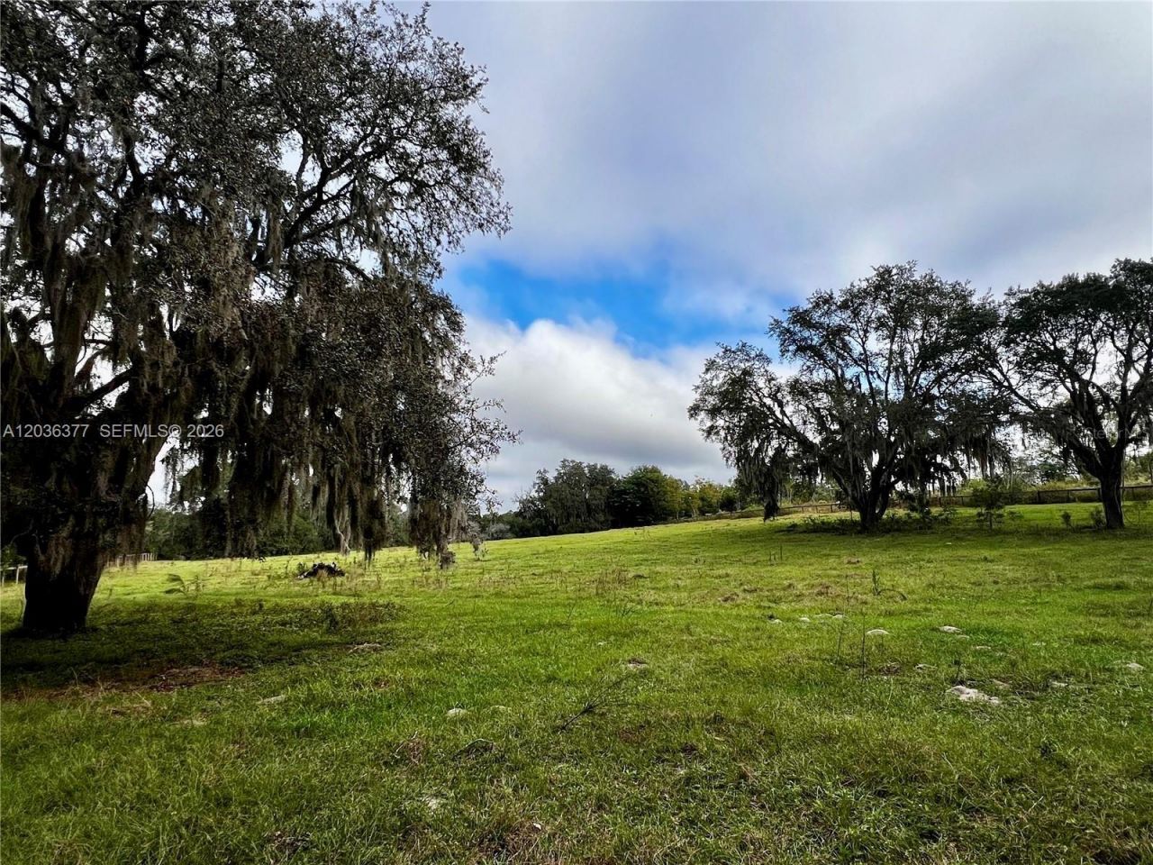 Xxxxx Micro Racetrack Rd , Fruitland Park, FL 34731 Photo