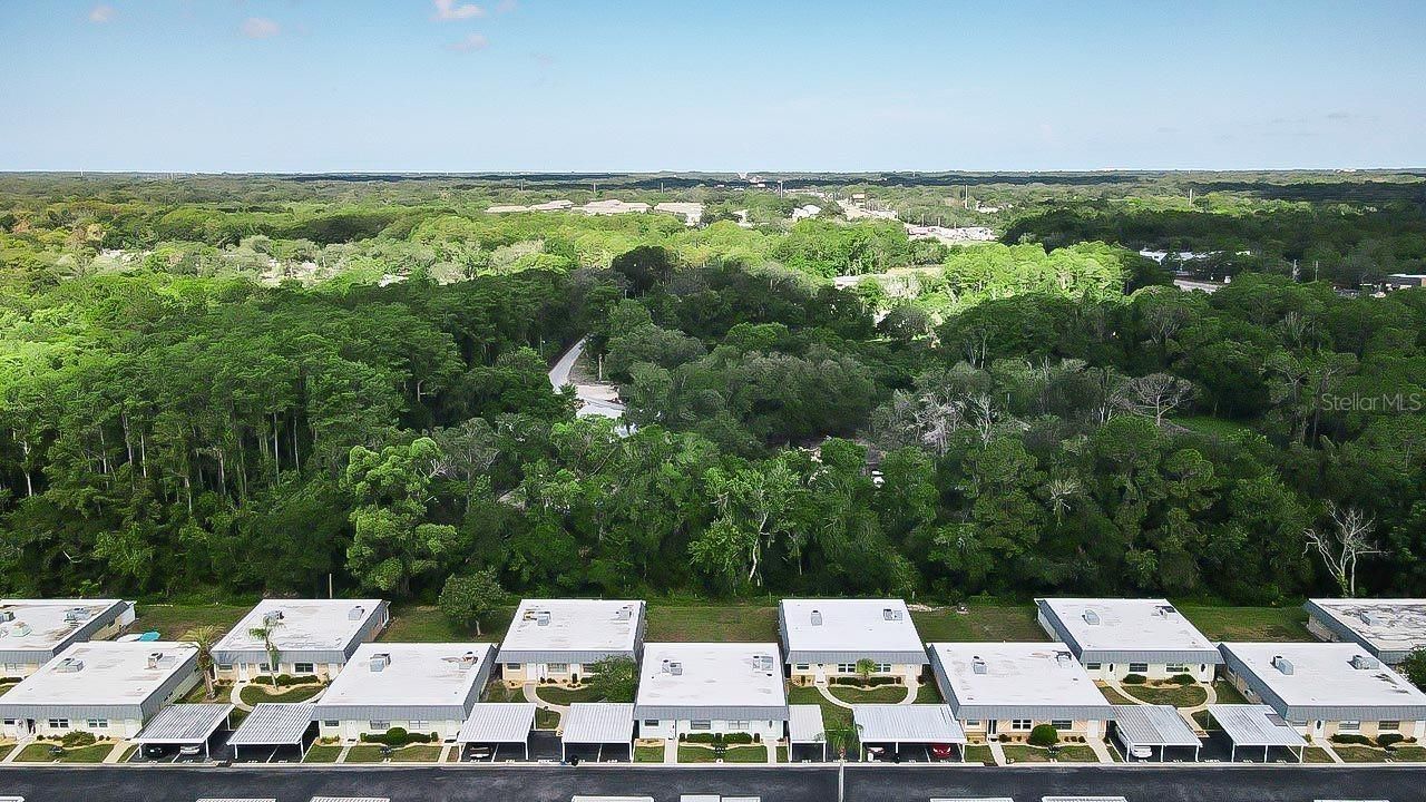 11905 Bayonet Lane, New Port Richey, FL 34654 Photo