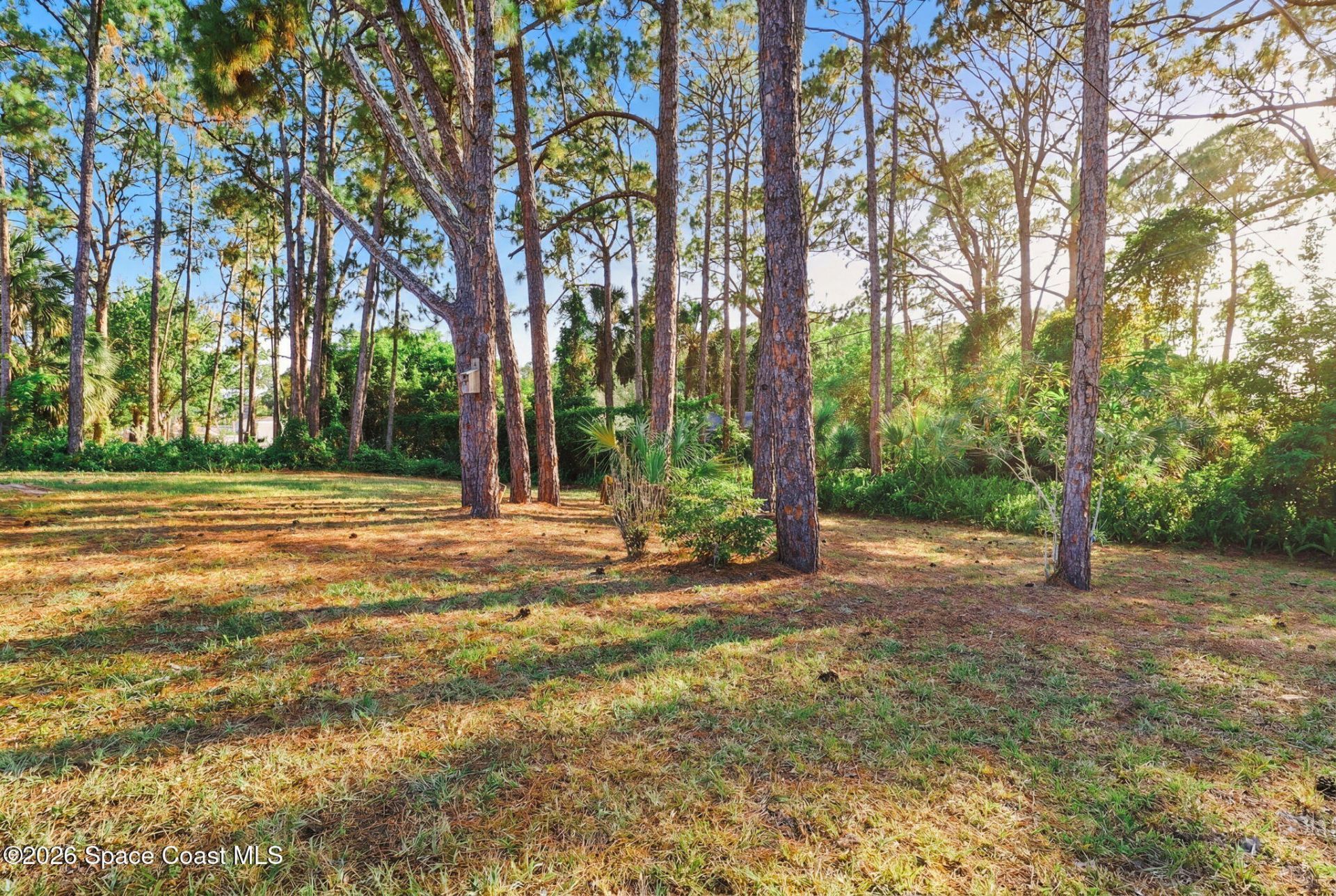 852 Lamplighter Drive NW , Palm Bay, FL 32907 Photo