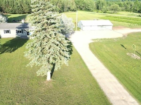 5236 110th Avenue, Evart, MI 49631