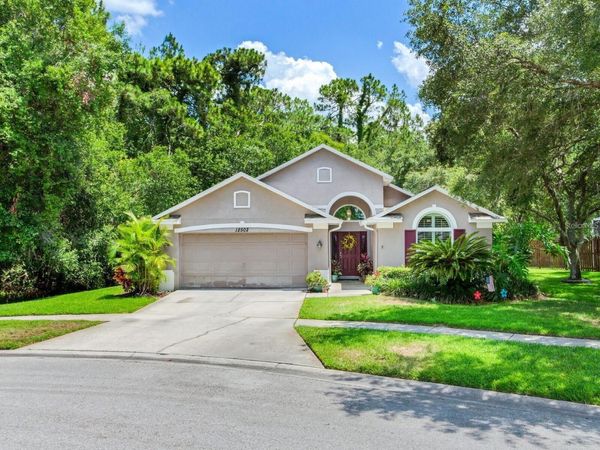12502 BLAZING STAR DRIVE , TAMPA, FL 33626