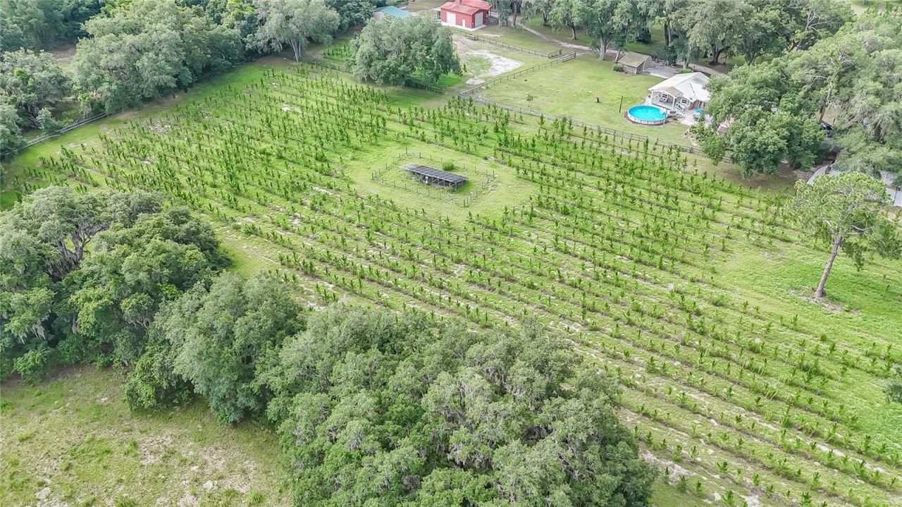 5117 Cr 316a , Bushnell, FL 33513 Photo