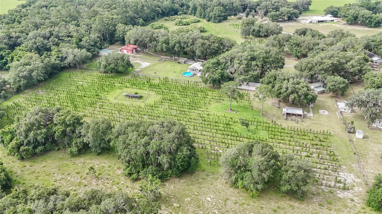 5117 Cr 316a , Bushnell, FL 33513 Photo