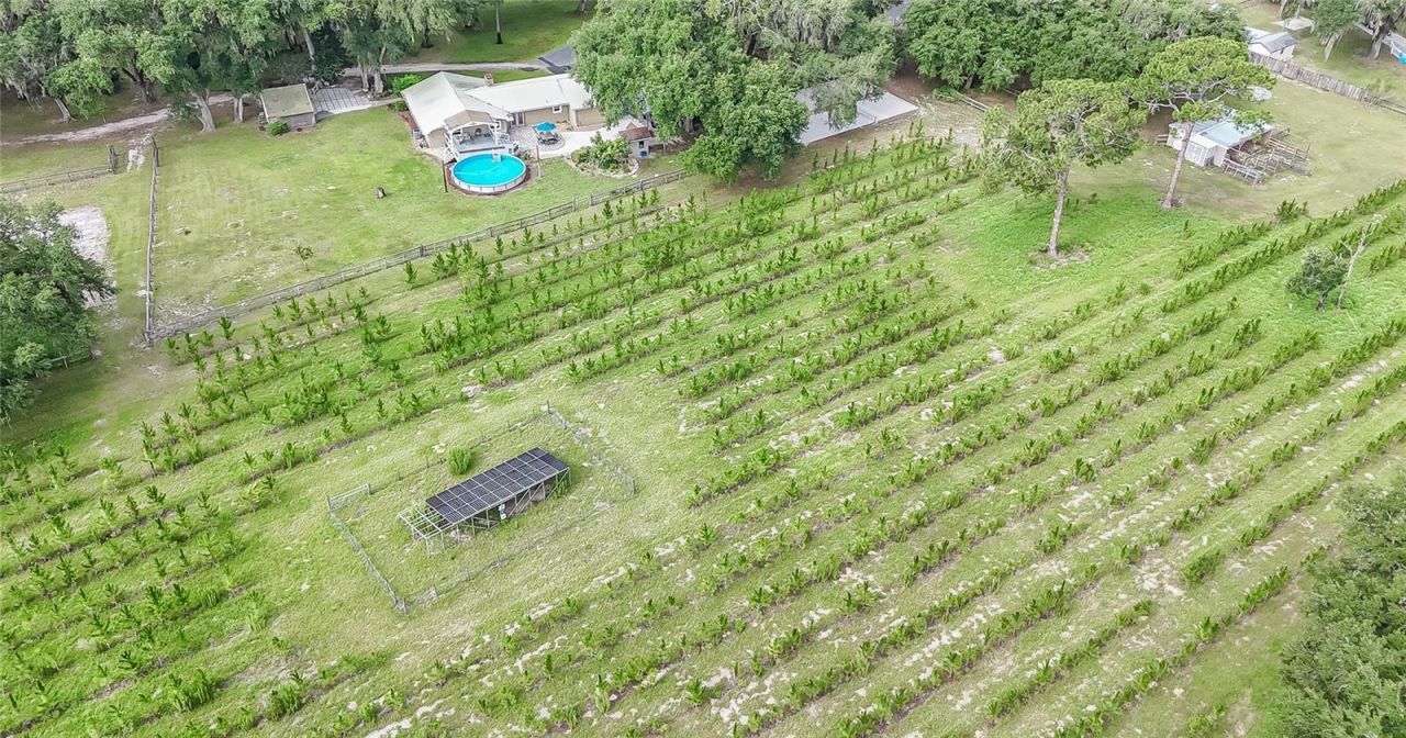 5117 Cr 316a , Bushnell, FL 33513 Photo