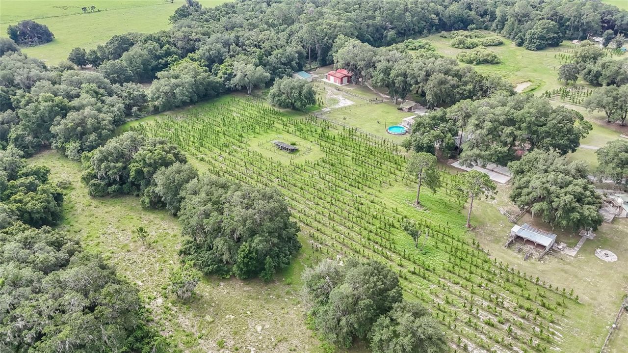 5117 Cr 316a , Bushnell, FL 33513 Photo