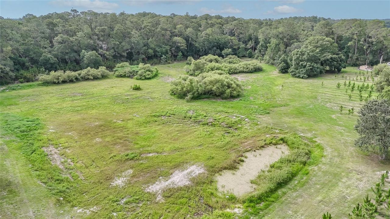 5117 Cr 316a , Bushnell, FL 33513 Photo