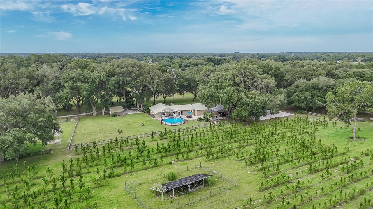 5117 Cr 316a , Bushnell, FL 33513 Photo