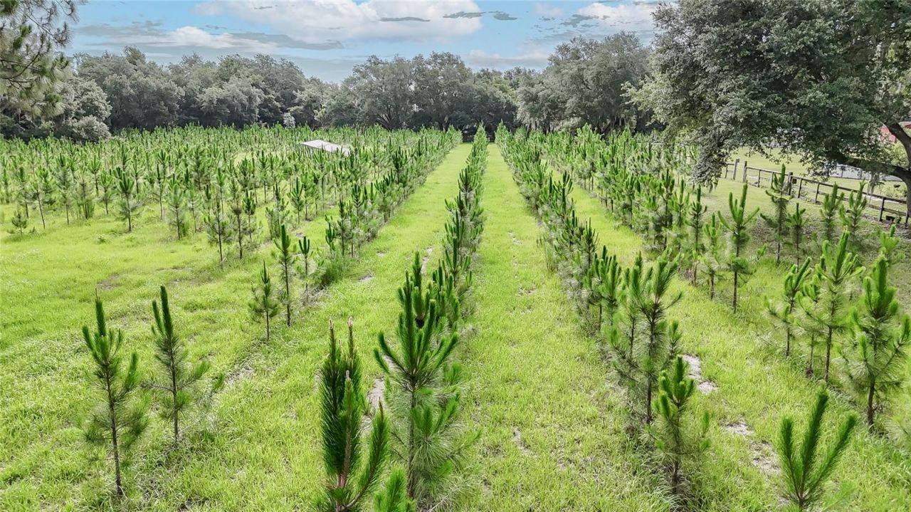 5117 Cr 316a , Bushnell, FL 33513 Photo