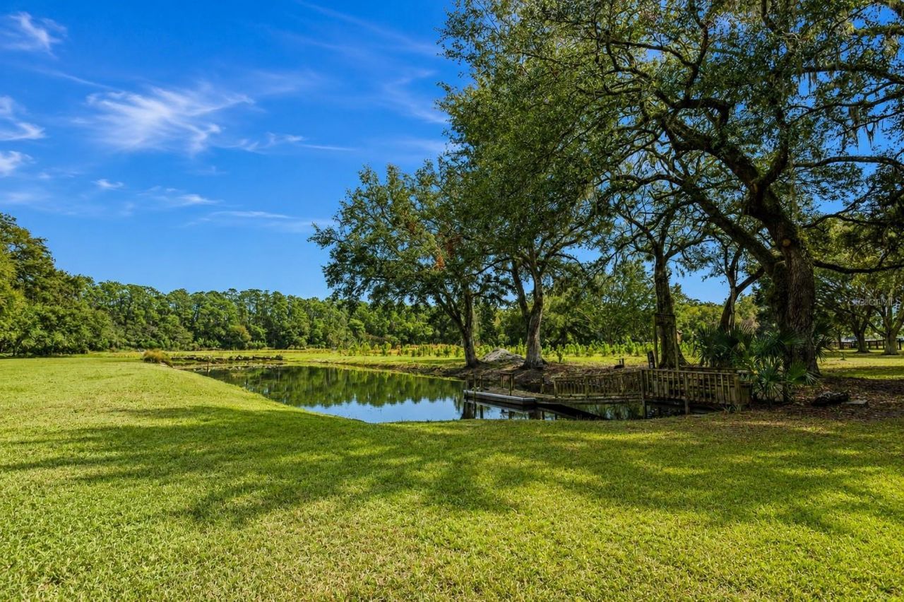 5117 Cr 316a , Bushnell, FL 33513 Photo